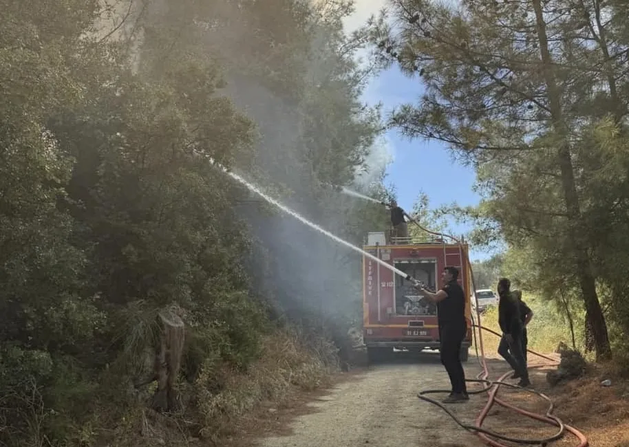 HATAY’DA ORMANLIK ALANDA ÇIKAN