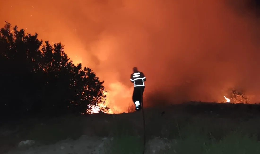 HATAY'DA ORMANLIK ALANDA YAŞANAN