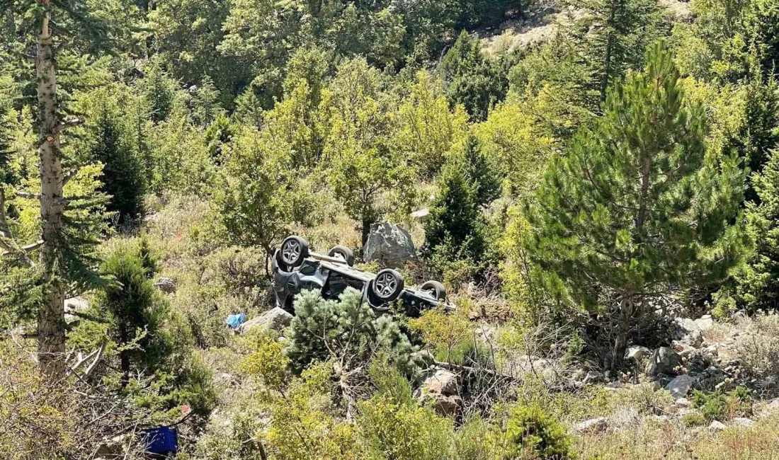 ANTALYA'NIN GAZİPAŞA İLÇESİNDE OTOMOBİLİN