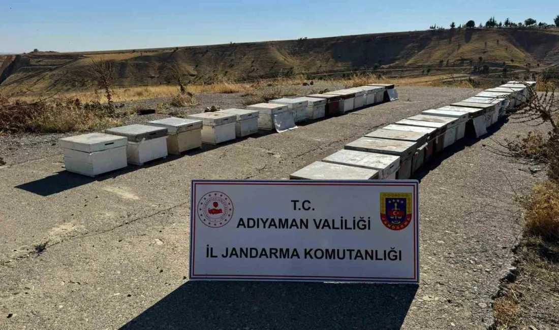 ADIYAMAN’DA, ARI KOVANLARINI ÇALAN