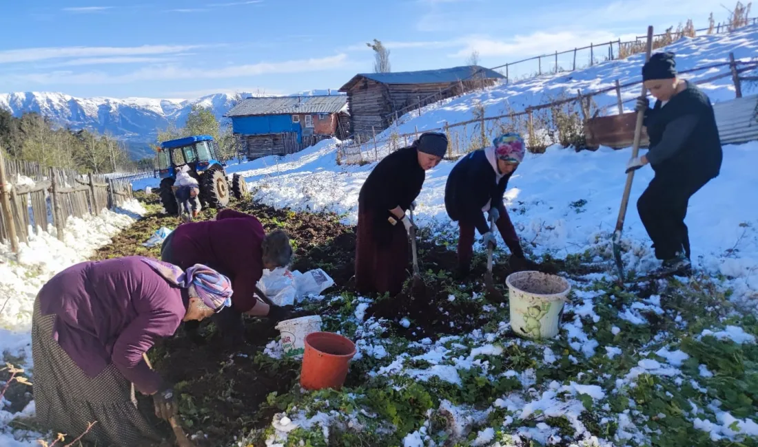 ARTVİN’İN ŞAVŞAT İLÇESİNE BAĞLI