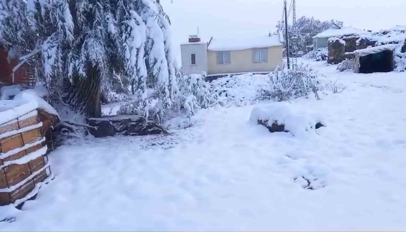 Aşkale’de 2 bin 400 rakımdaki köyler beyaza büründü