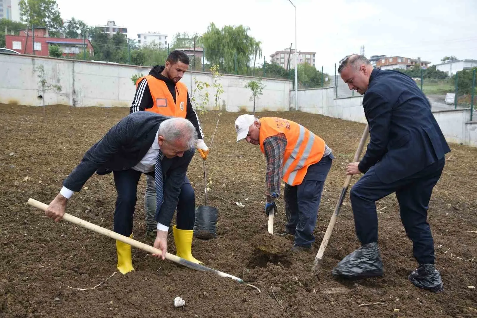 Atakum’daki okullarda meyve ağaçları yetiştirilecek