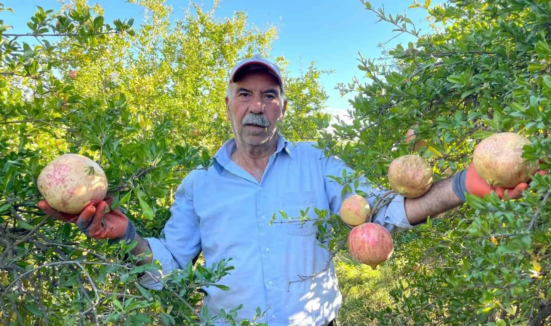 TÜRKİYE’NİN AVRUPA BİRLİĞİ (AB)