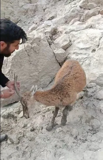 AYAKLARI BALÇIĞA SAPLANAN DAĞ