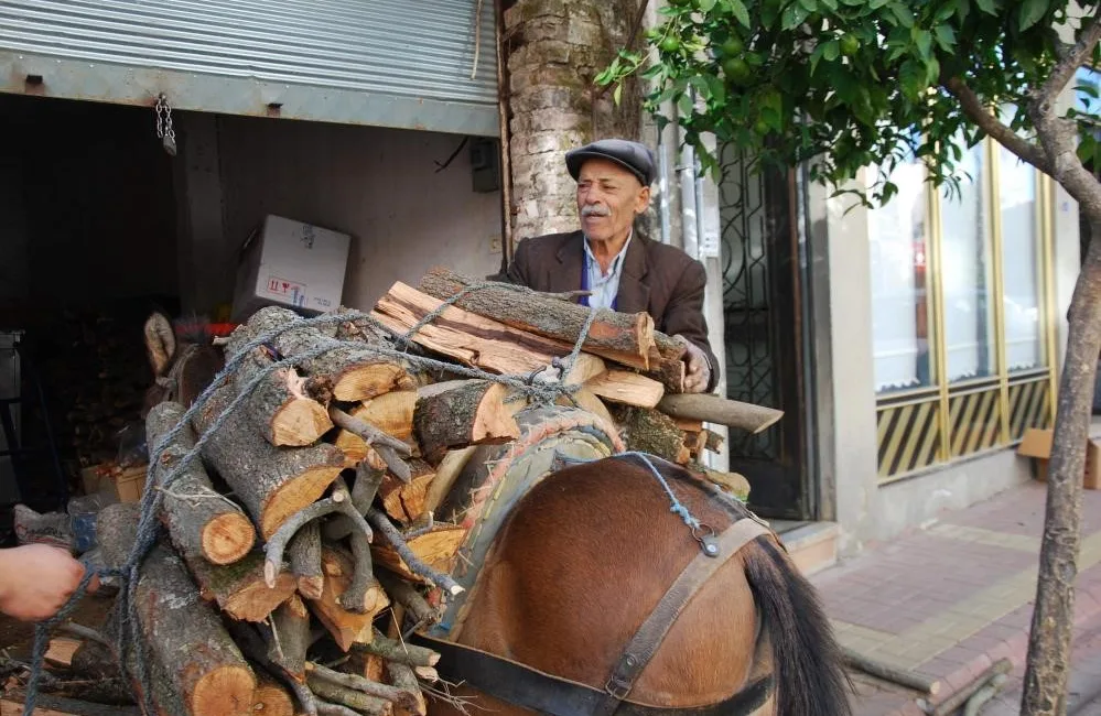 TÜRKİYE’NİN EN ILIMAN İLLERİ