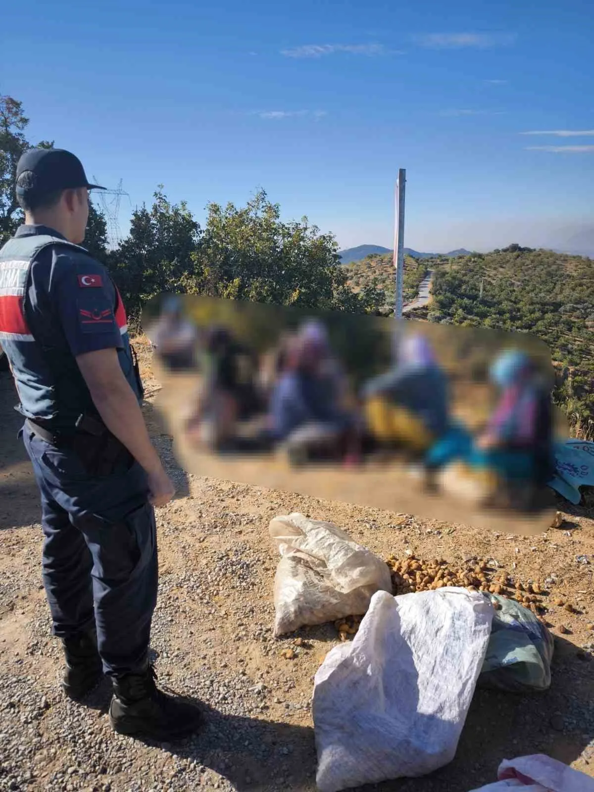 Aydın’da yaklaşık yarım ton incir çalan hırsızlar jandarmaya takıldı