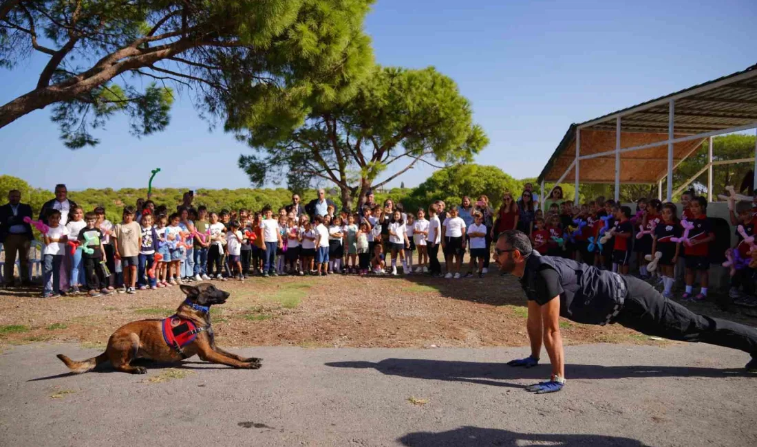 AYVALIK’TA SOKAK HAYVANLARI UNUTULMADI