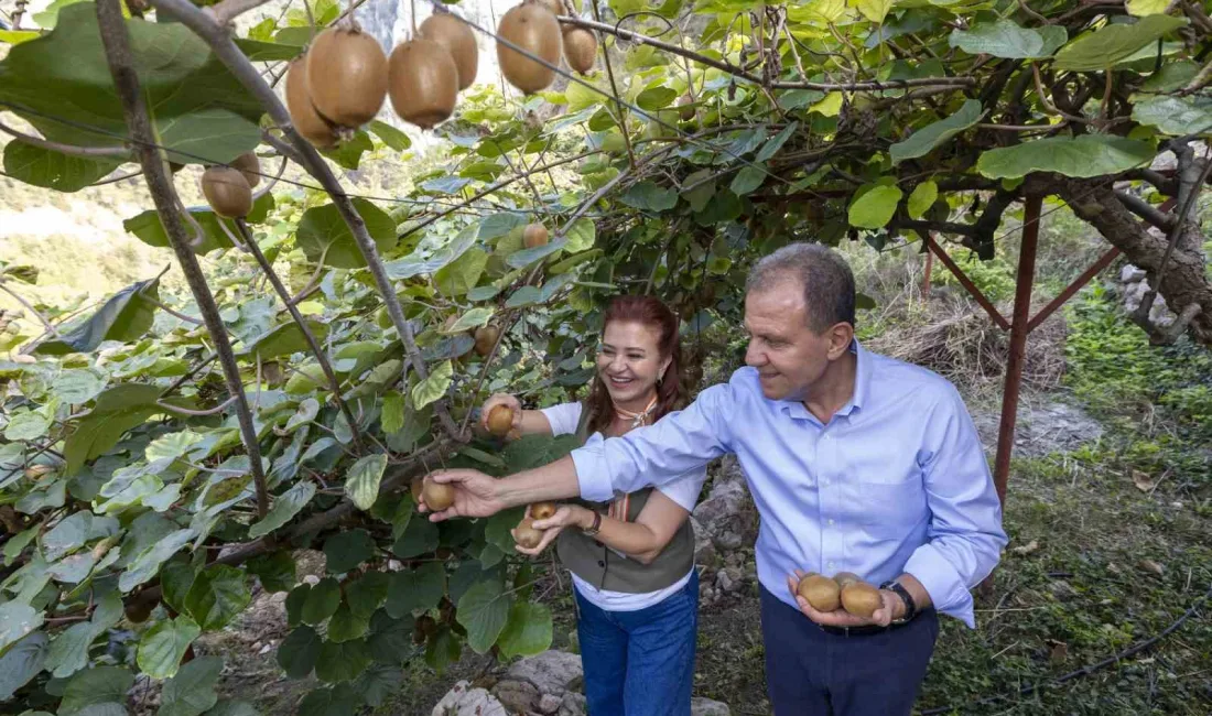 MERSİN BÜYÜKŞEHİR BELEDİYE BAŞKANI