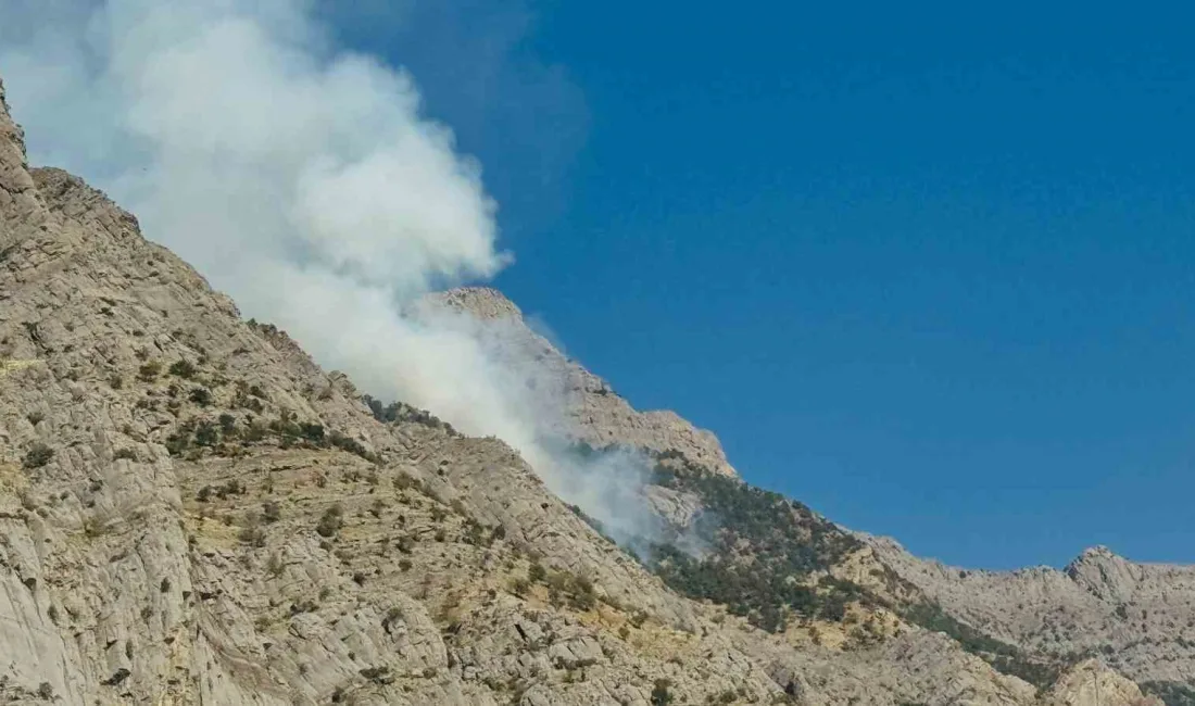 ŞIRNAK'IN BEYTÜŞŞEBAP İLÇESİNE BAĞLI