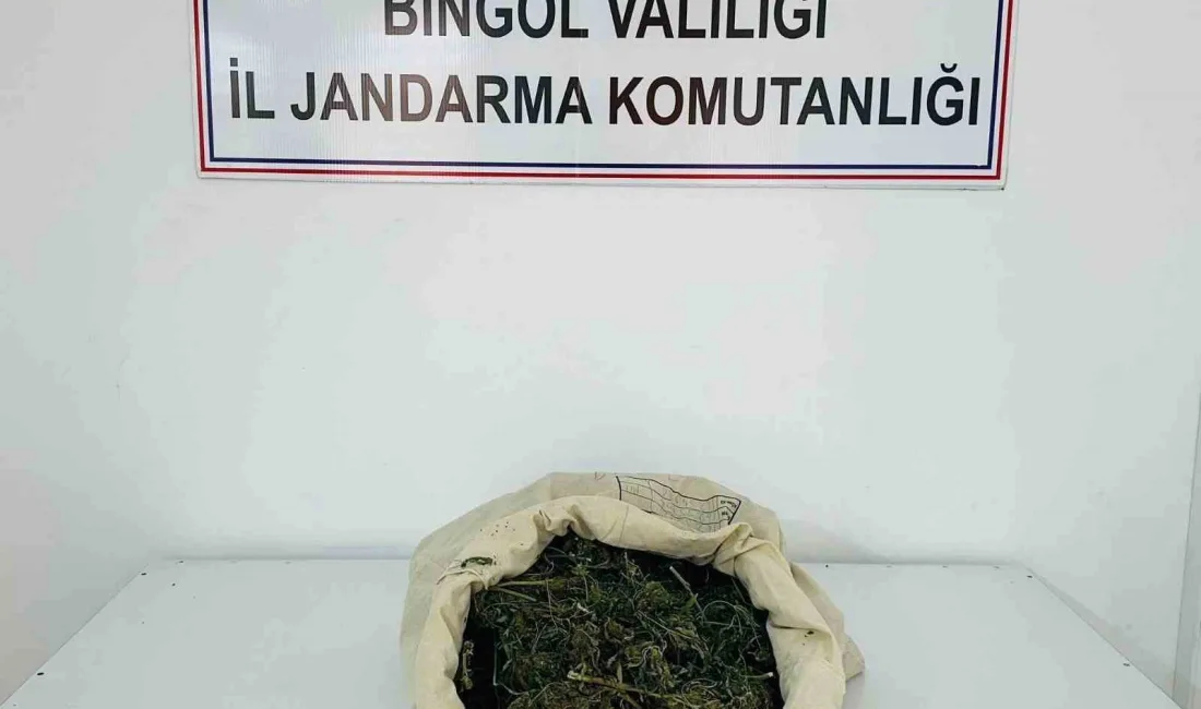 BİNGÖL’DE JANDARMA EKİPLERİNCE DÜZENLENEN