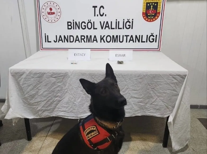 BİNGÖL’DE JANDARMA EKİPLERİNCE YAPILAN