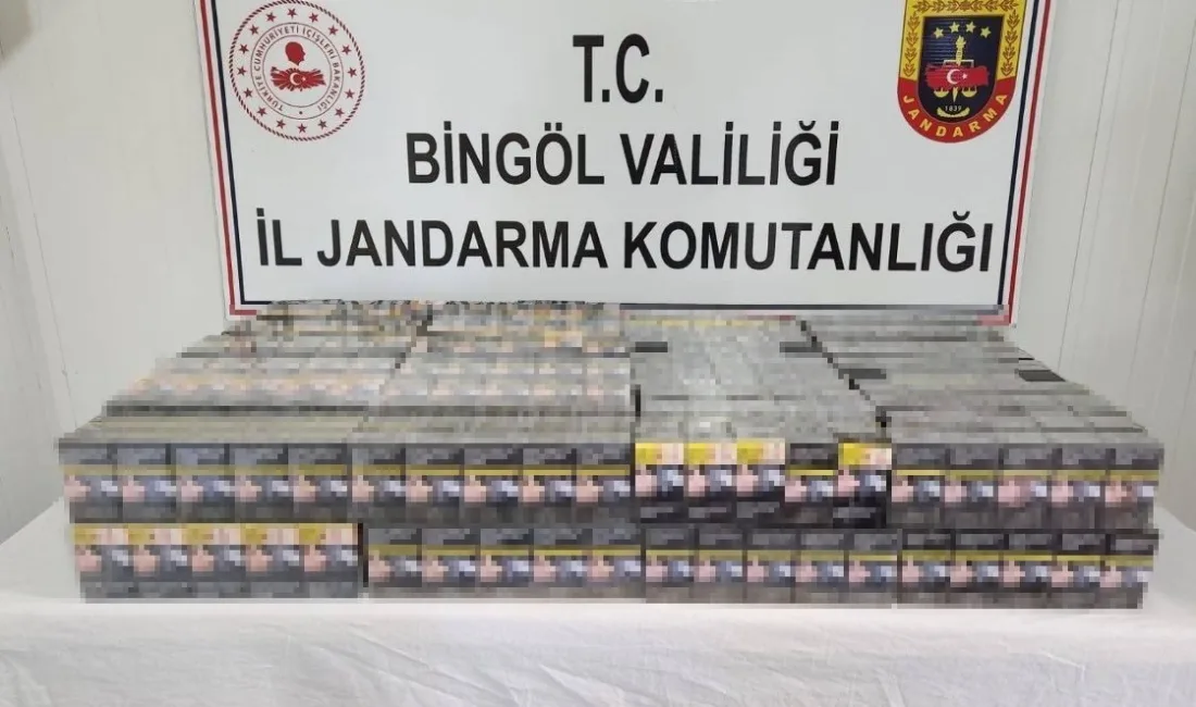 BİNGÖL’DE JANDARMA EKİPLERİNCE GERÇEKLEŞTİRİLEN