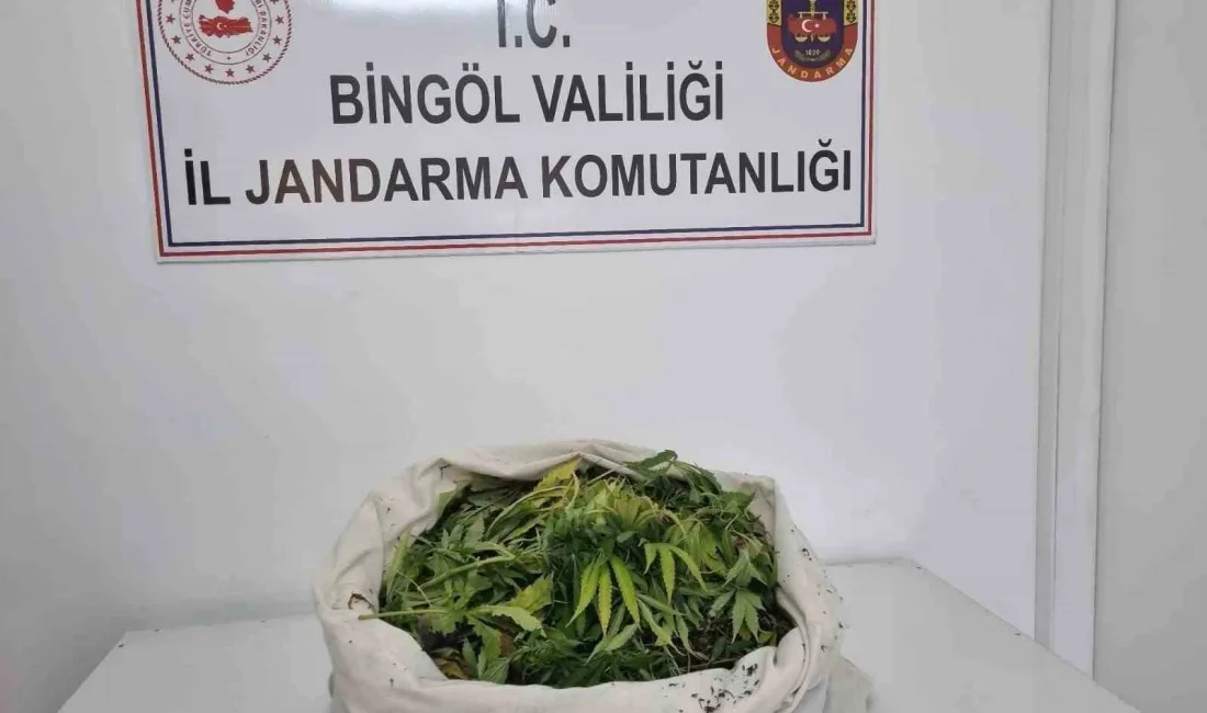 BİNGÖL’DE JANDARMA EKİPLERİNCE DÜZENLENEN