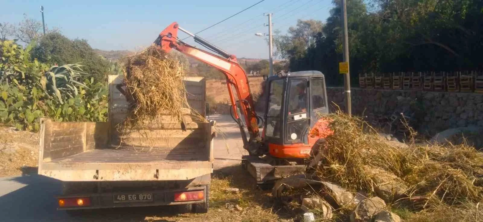 Bodrum’un derelerinde kış temizliği