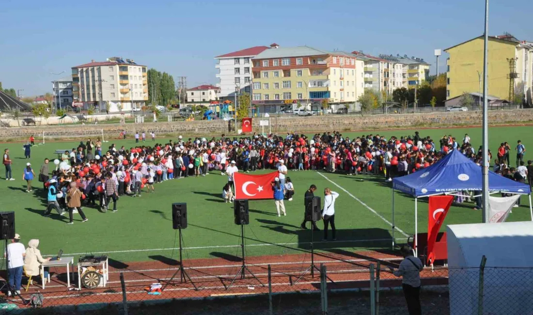 MUŞ'UN BULANIK KAYMAKAMLIĞI İLE