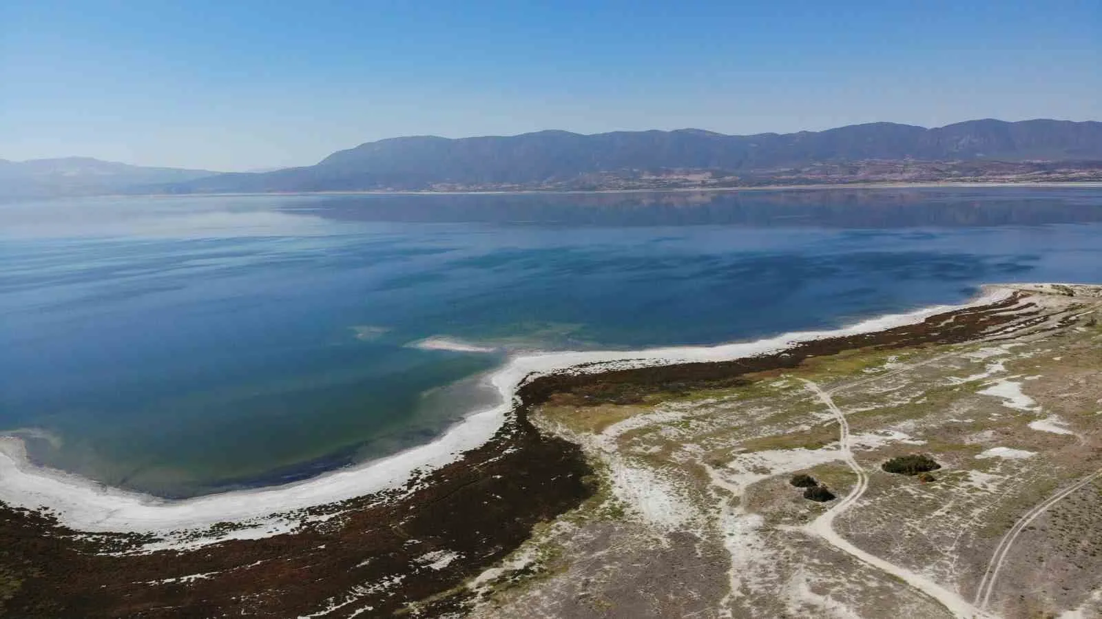 Burdurlu Gazeteciler kuraklıkla boğuşan Burdur Gölü’nü kurtarmak için fidan dikti