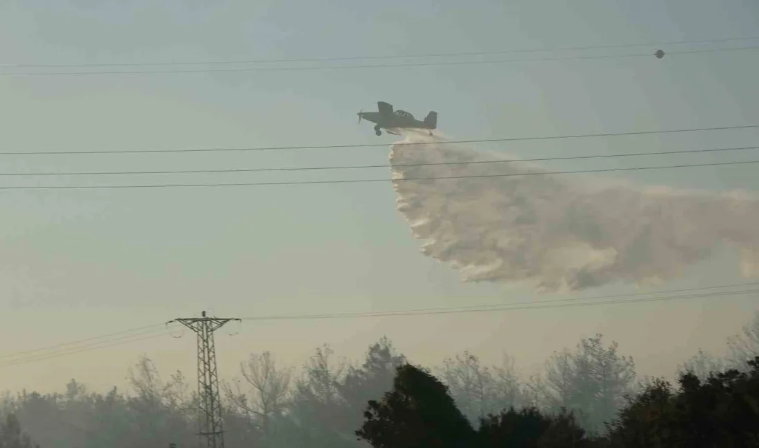 ÇANAKKALE’NİN LAPSEKİ İLÇESİNE BAĞLI