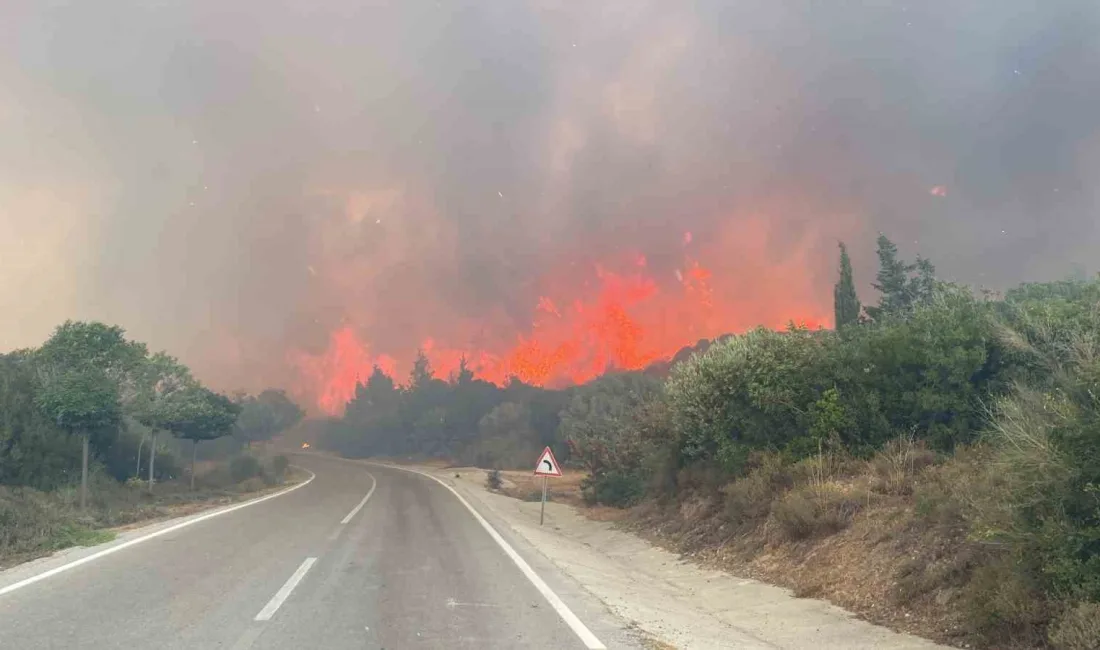 ÇANAKKALE VALİLİĞİNCE, ORMAN YANGINLARI