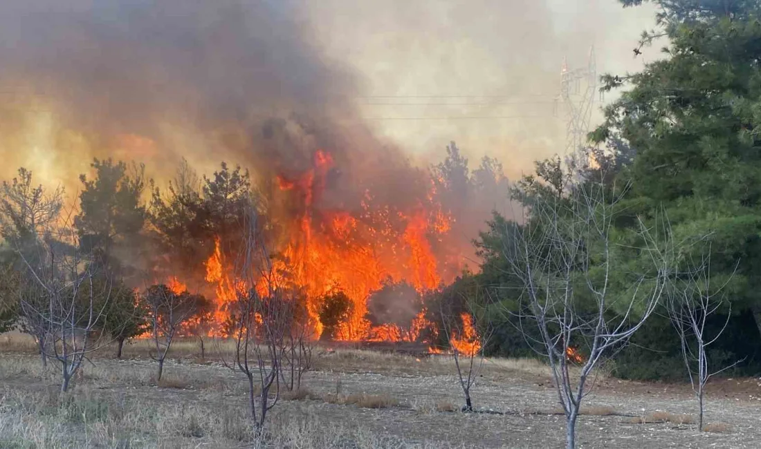 ÇANAKKALE’NİN LAPSEKİ İLÇESİNE BAĞLI