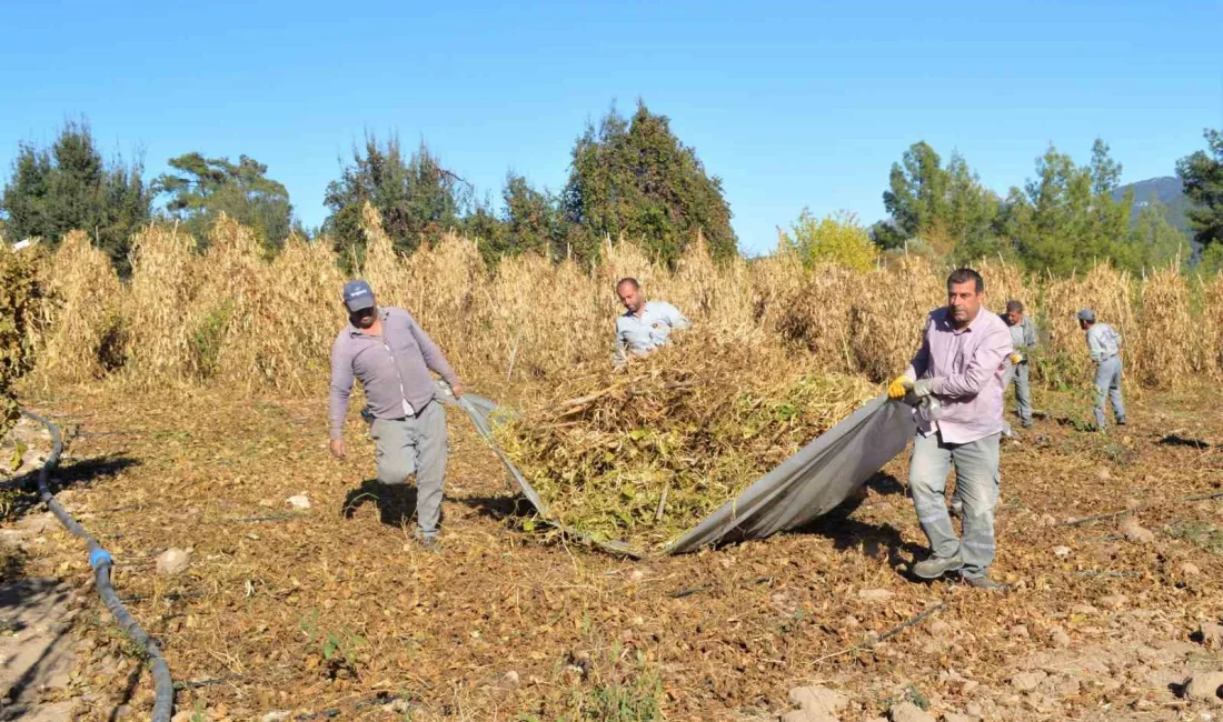 ANTALYA’DA KONYAALTI BELEDİYESİ, ÇANDIR