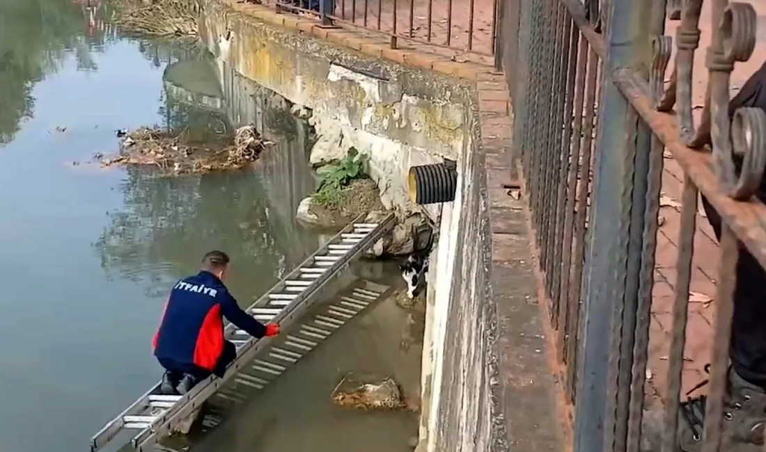 ZONGULDAK'IN ALAPLI İLÇESİNDE DÜŞTÜĞÜ