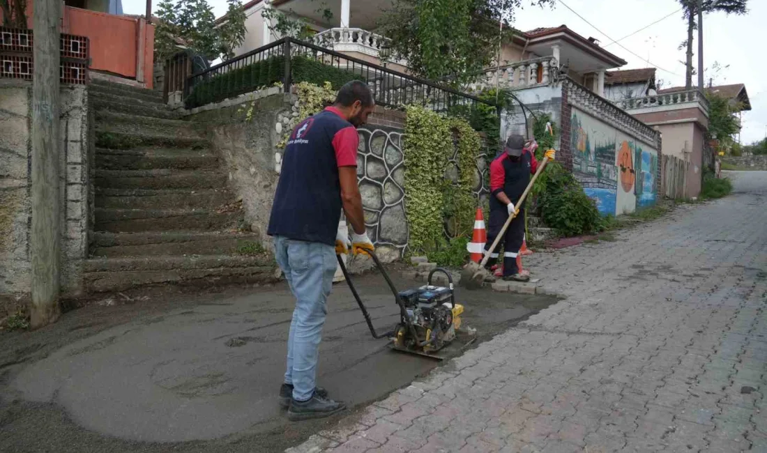 DÜZCE BELEDİYESİ FEN İŞLERİ