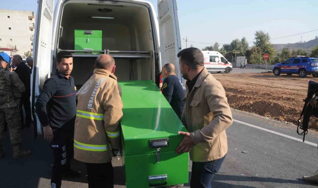 ŞIRNAK’IN CİZRE İLÇESİNDE AYNI