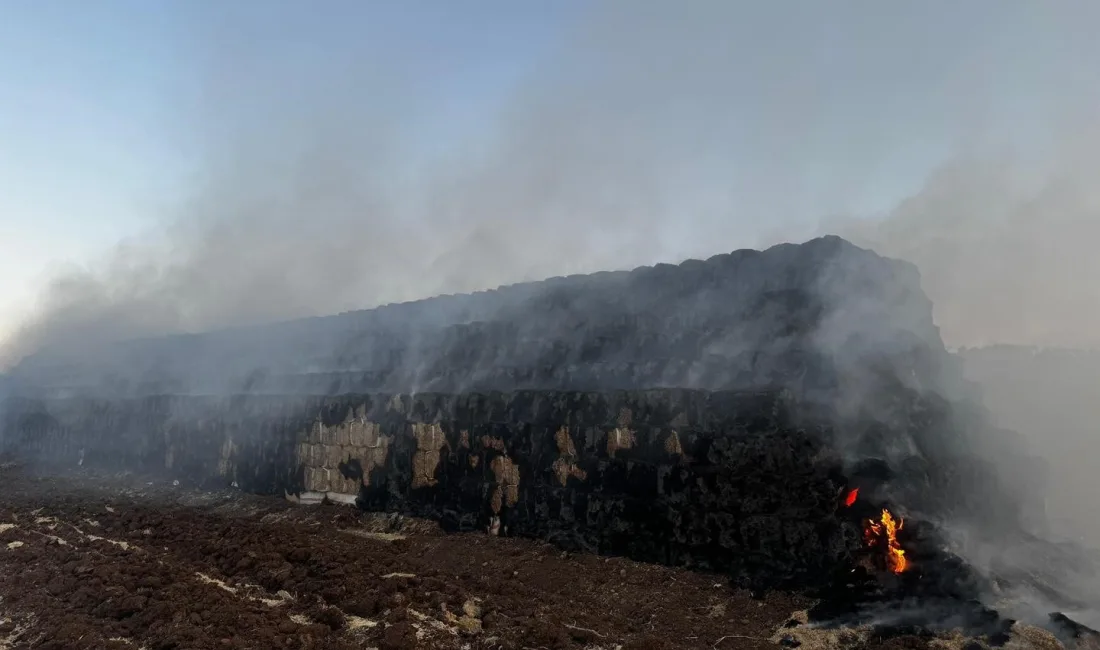 ŞIRNAK'IN CİZRE İLÇESİNE BAĞLI