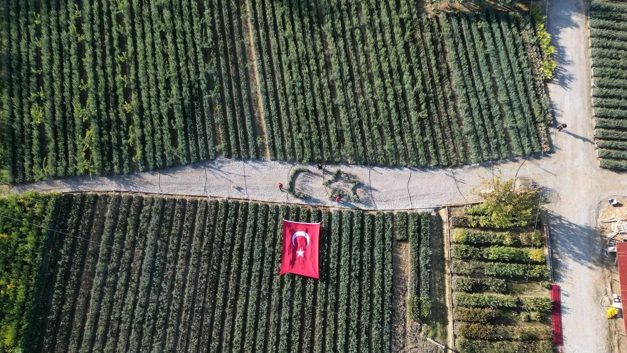 Cumhuriyetin 101 için zeytin fidanlarıyla Türk Bayrağı’nı oluşturdu