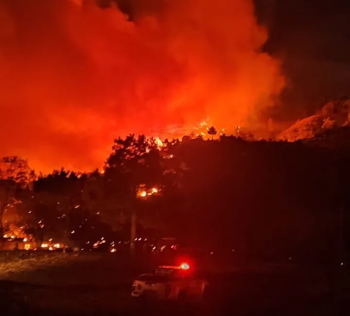 DALAMAN ORMAN YANGINI RÜZGARLA