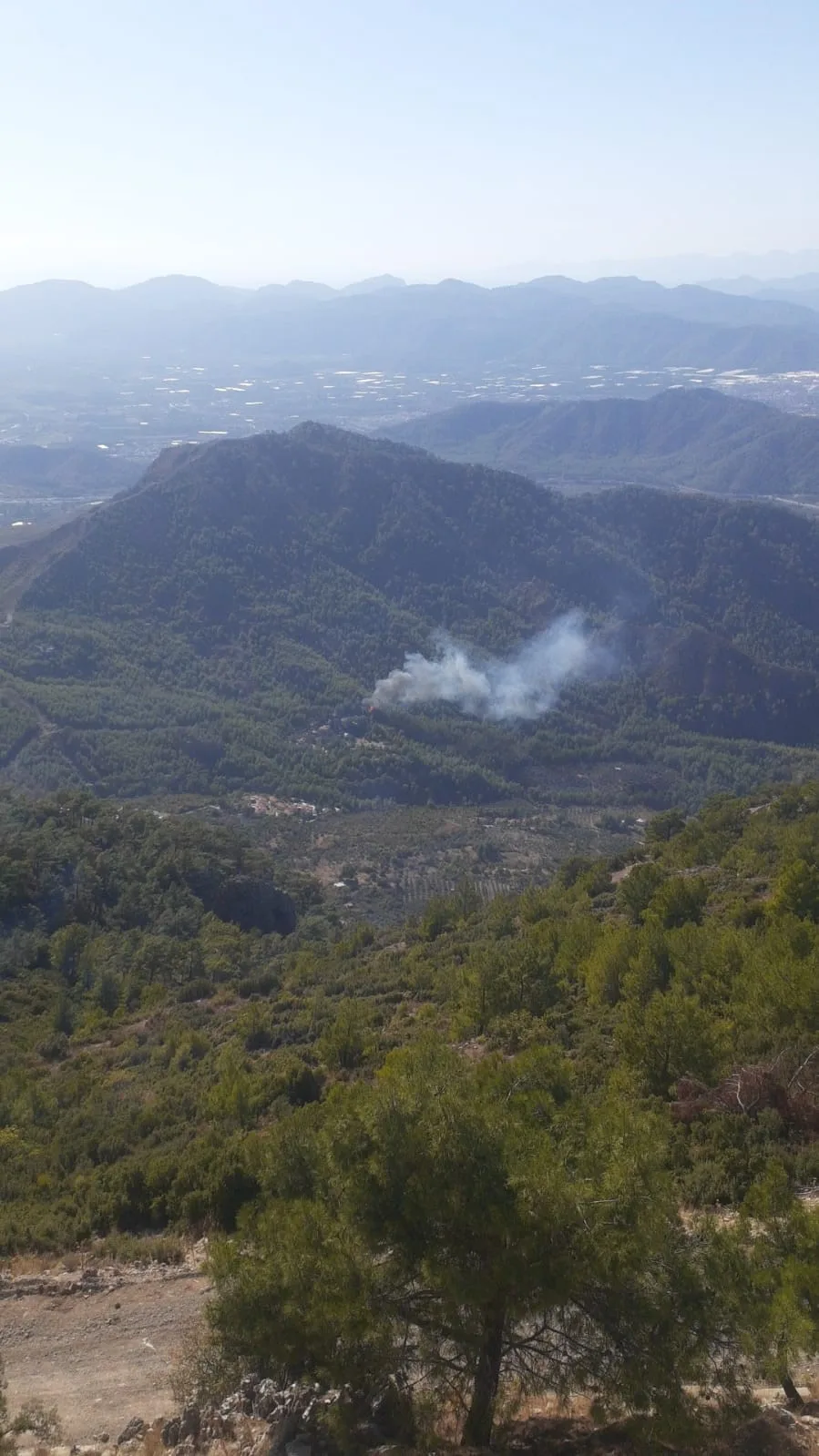 Dalaman’da Orman yangını