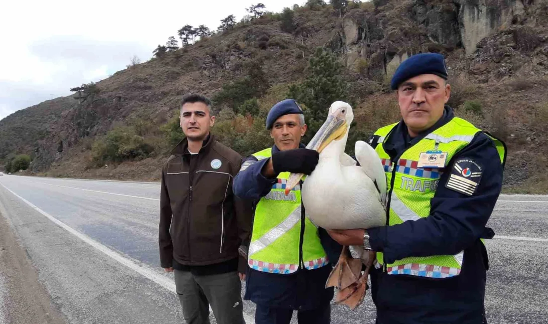 BOLU'DA DEVRİYE ATAN JANDARMA