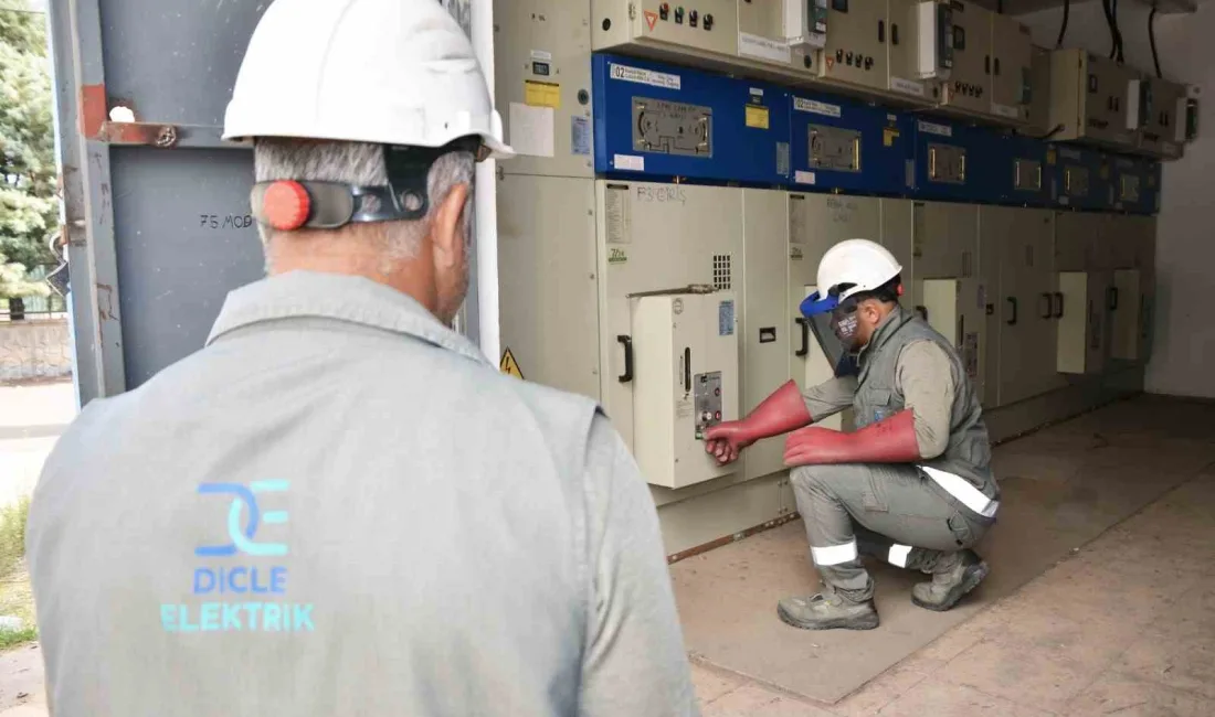 DİCLE ELEKTRİK, SÜRDÜRÜLEBİLİRLİK HEDEFLERİ