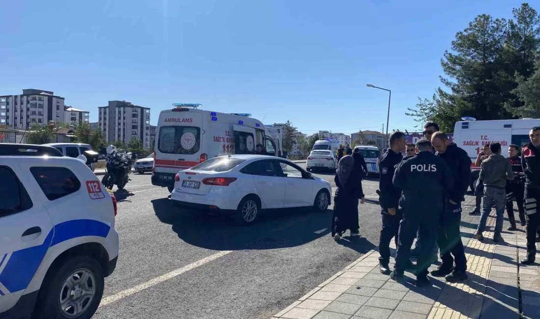 DİYARBAKIR’IN BAĞLAR İLÇESİNDE TAPUSUZ