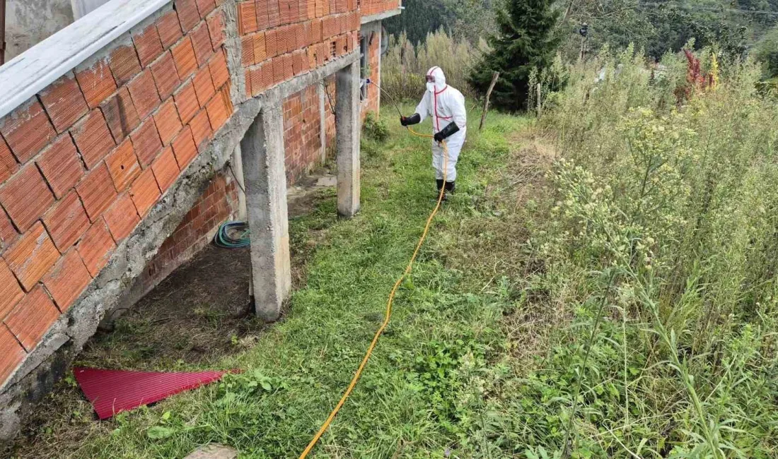 KARADENİZ BÖLGESİ’NDE BAŞTA FINDIK