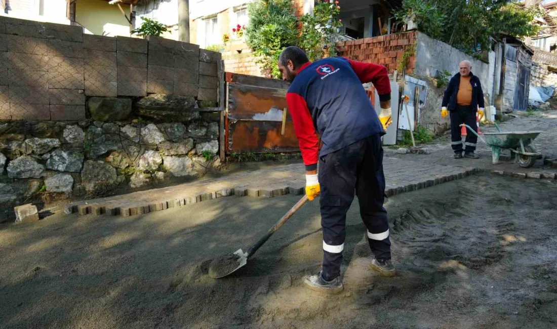 DÜZCE BELEDİYESİ FEN İŞLERİ