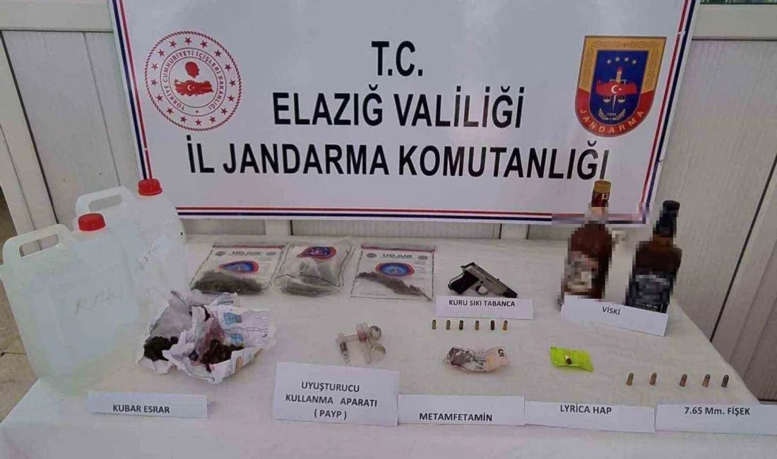 ELAZIĞ’DA JANDARMA EKİPLERİNCE DÜZENLENEN