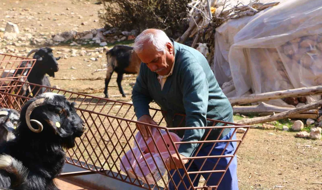 ANTALYA BÜYÜKŞEHİR BELEDİYESİ, ELMALI'DA