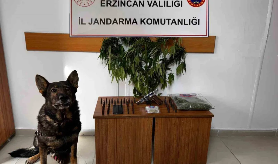 ERZİNCAN’DA JANDARMA SUÇ OLAYLARINA