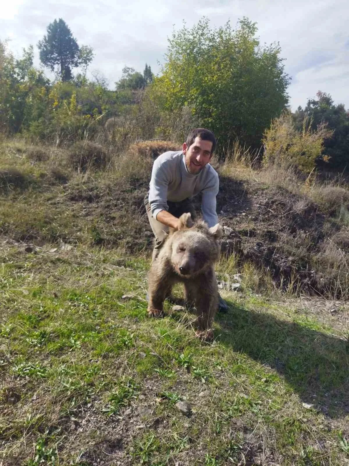 Erzurum Oltu’da yaralı yavru ayı kurtarıldı