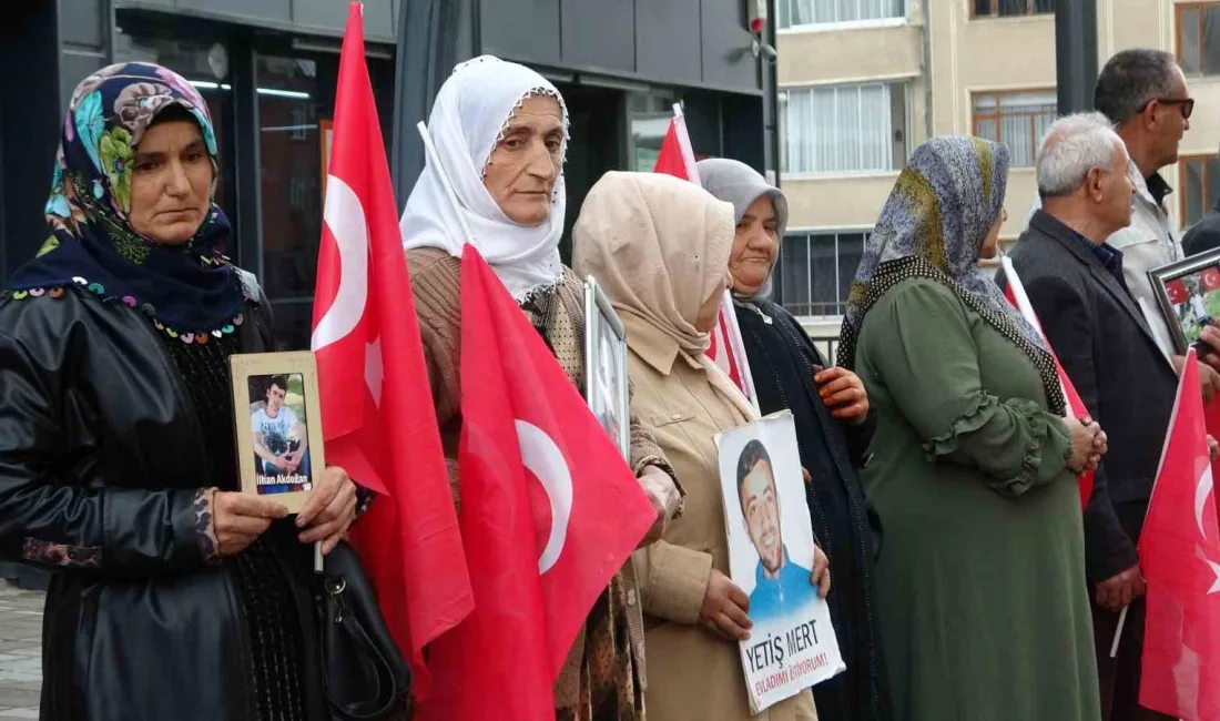 VAN'DA TERÖR ÖRGÜTÜ PKK