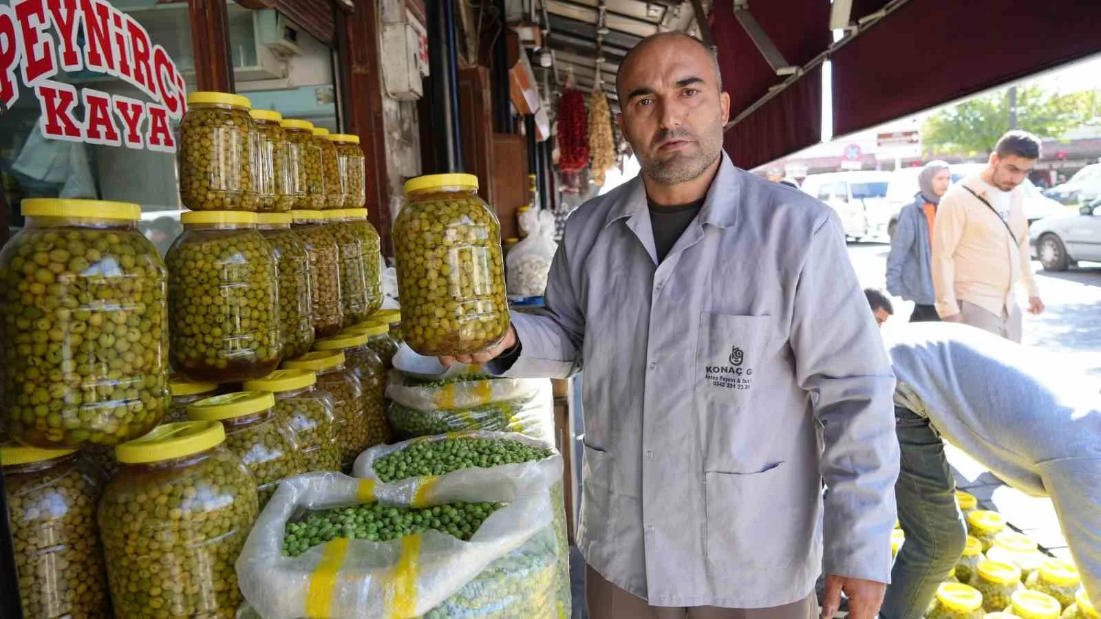 Gaziantep’te yeşil zeytinler tezgaha indi