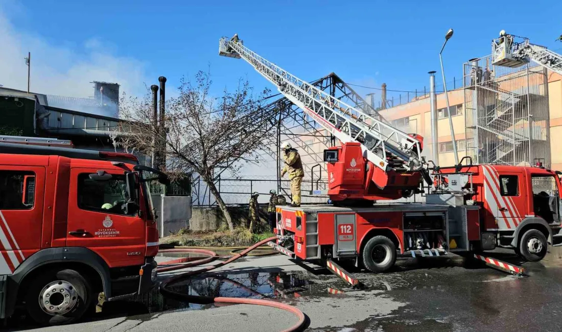 GAZİOSMANPAŞA’DA HALI SAHADA ÇIKAN