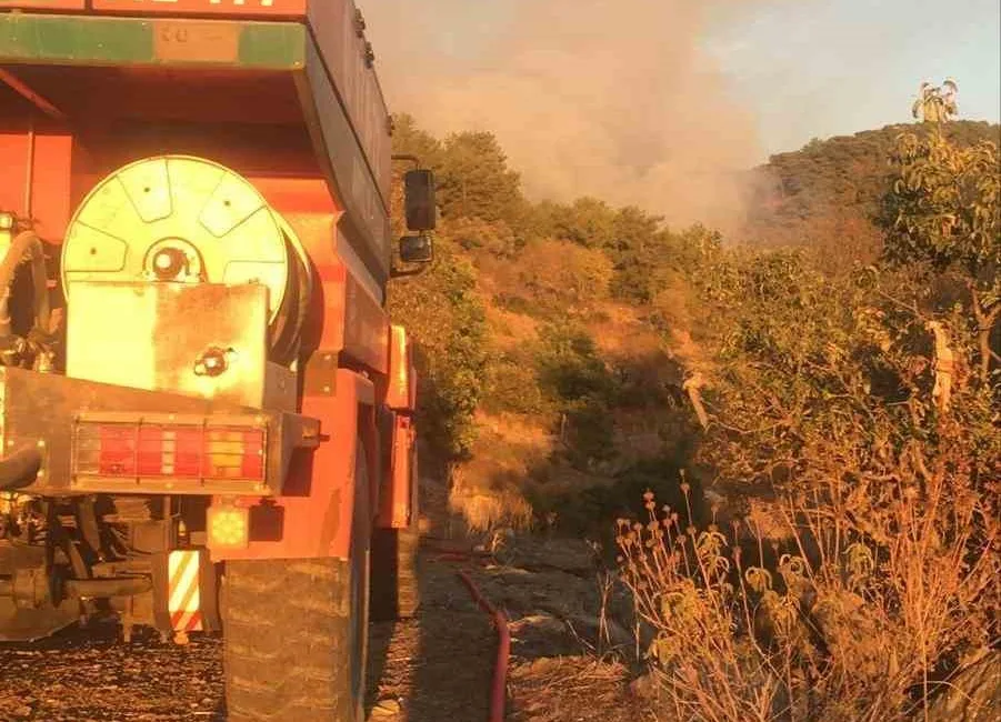 GAZİPAŞA’DA ORMANLIK ALANDA YANGIN