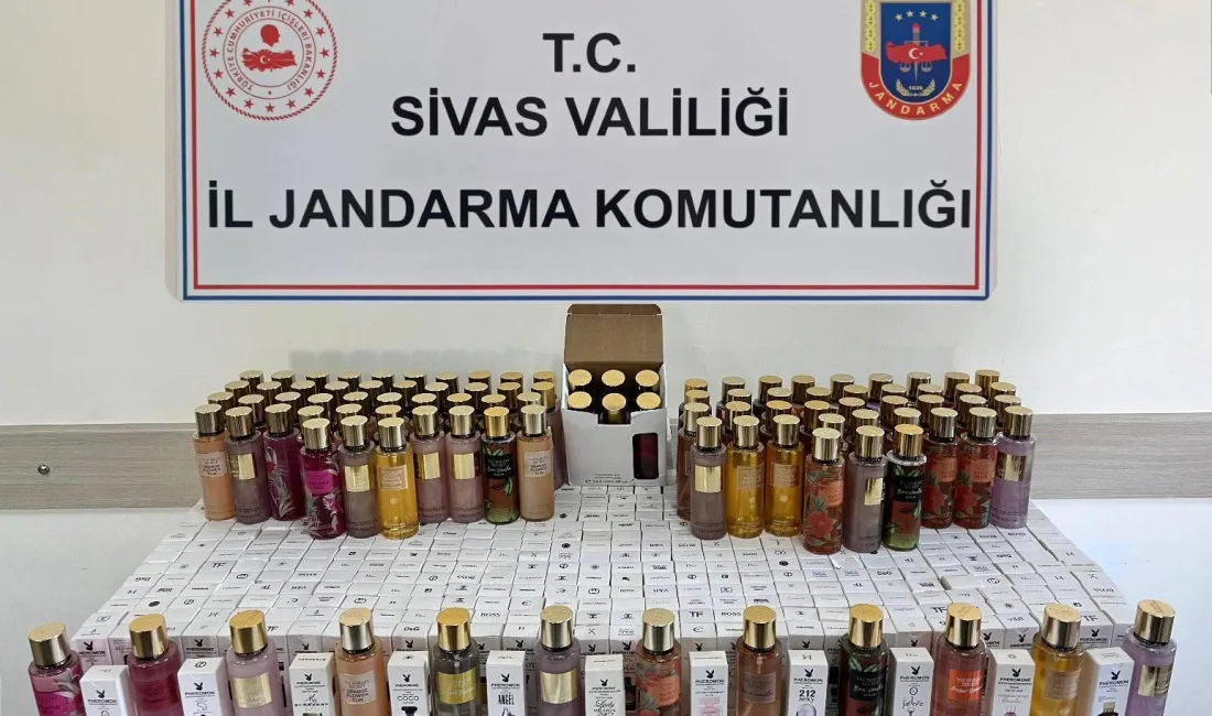 SİVAS’IN GEMEREK İLÇESİNDE JANDARMA