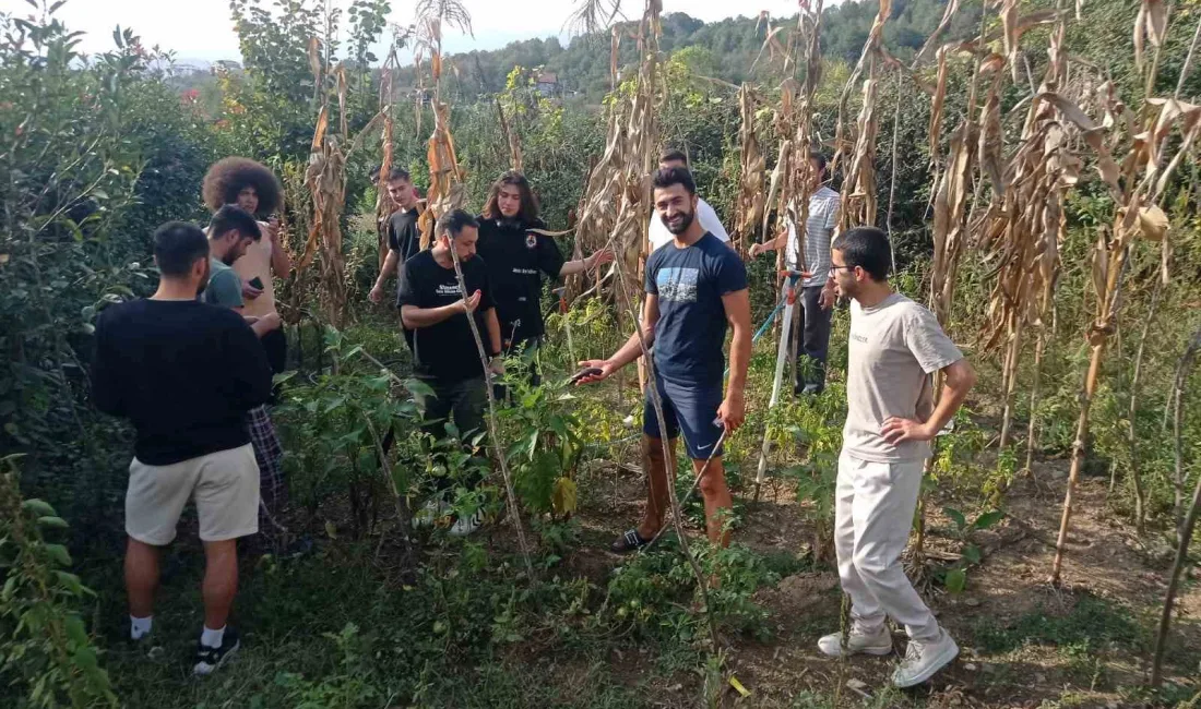 DÜZCE ÜNİVERSİTESİ’NDE ÖĞRENİM GÖREN