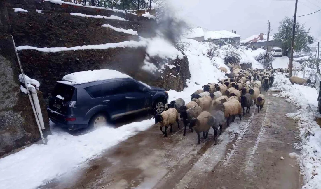 GİRESUN’UN YÜKSEK KESİMLERİNDE HAFTA