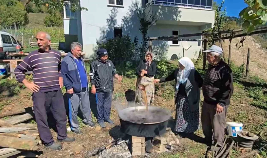 GİRESUN'UN KULAKKAYA YAYLASI'NDA, DOĞAL