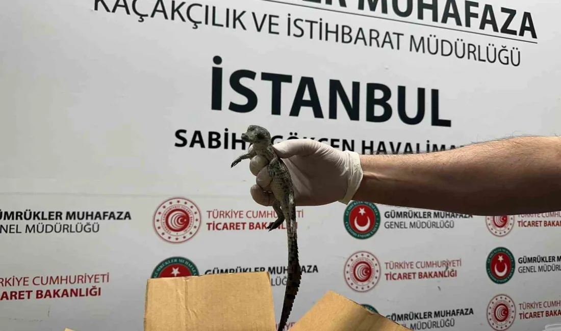 İSTANBUL SABİHA GÖKÇEN HAVALİMANI’NA